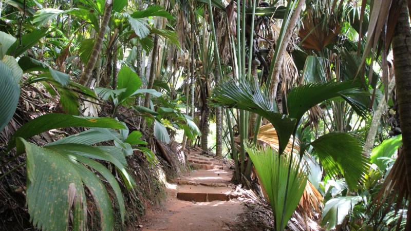 Seychelles - Az Indiai-óceán Álomszigetei