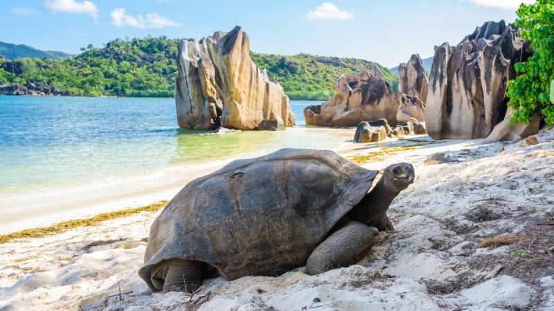 Seychelles - Az Indiai-óceán Álomszigetei