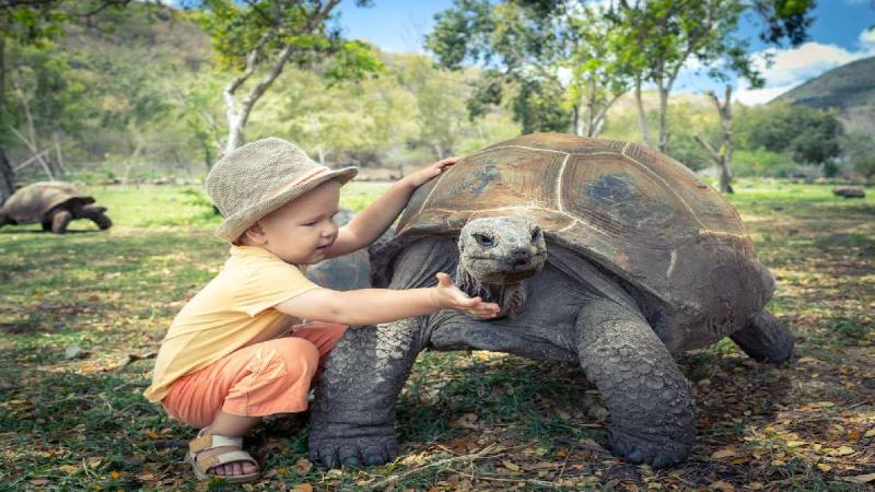 Seychelles - Az Indiai-óceán Álomszigetei
