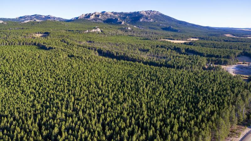 Usa, Yellowstone És Az Igazi Vadnyugat – Hosszabbítási Lehetőséggel Hawaii-on