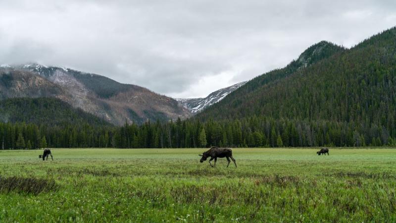 Usa, Yellowstone És Az Igazi Vadnyugat – Hosszabbítási Lehetőséggel Hawaii-on