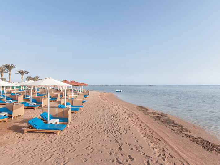 Sharm El-Sheikh utazás Albatros Laguna Club Resort