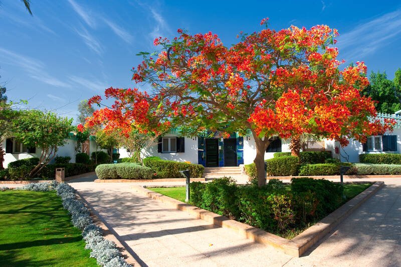 Sharm El-Sheikh utazás Ghazala Beach