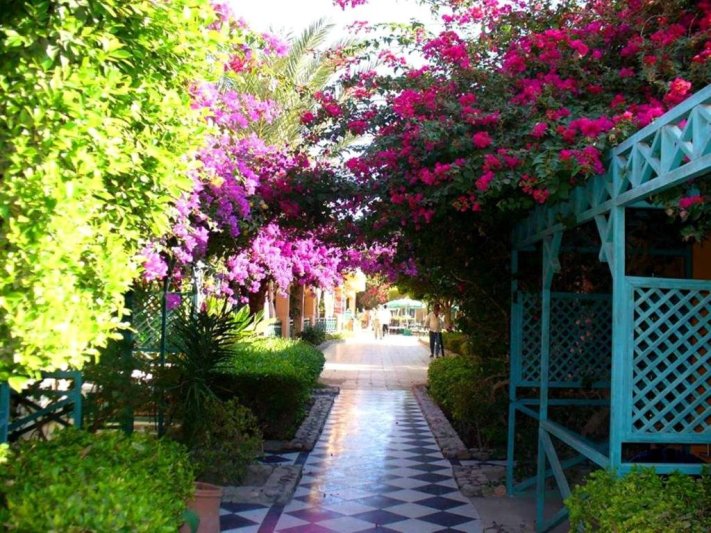 Hurghada utazás Giftun Azur