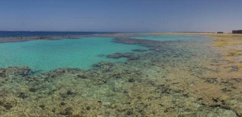 Hurghada utazás Gravity Sahl Hasheesh