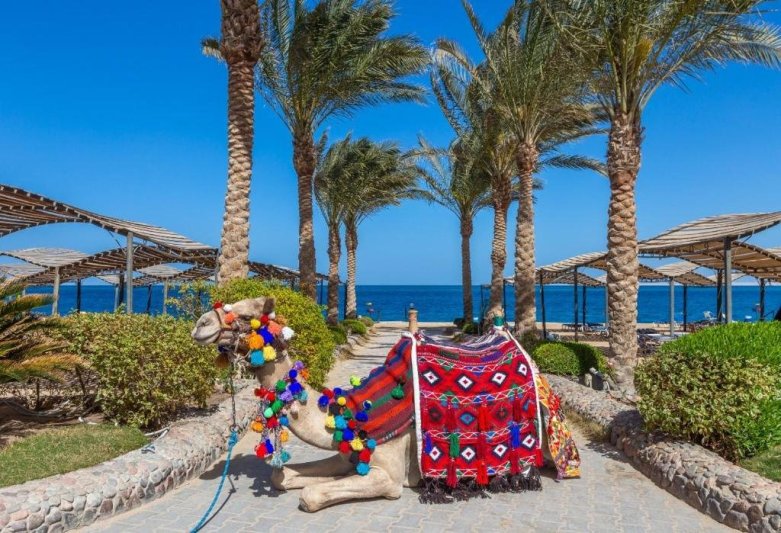 King Tut Aqua Park Beach Hurghada