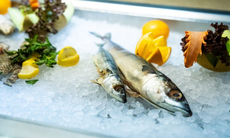 Hurghada utazás Makadi Spa Hotel