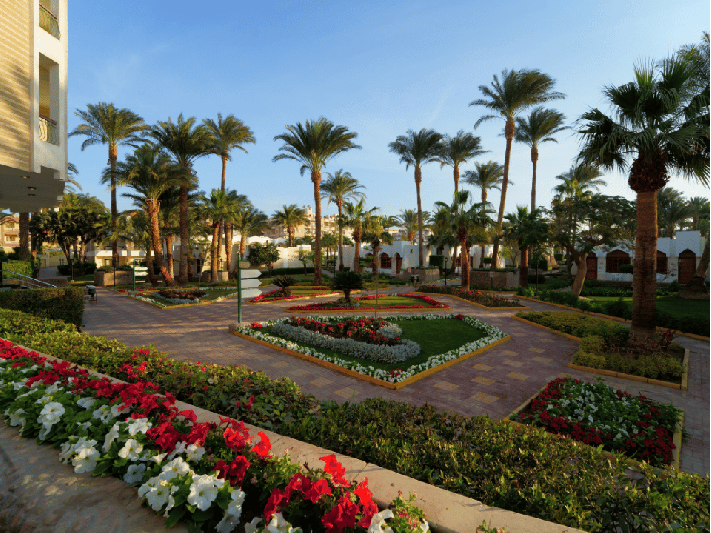 Zya Regina Resort Hurghada