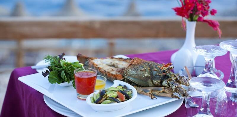 Sharm El-Sheikh utazás Sharm Plaza