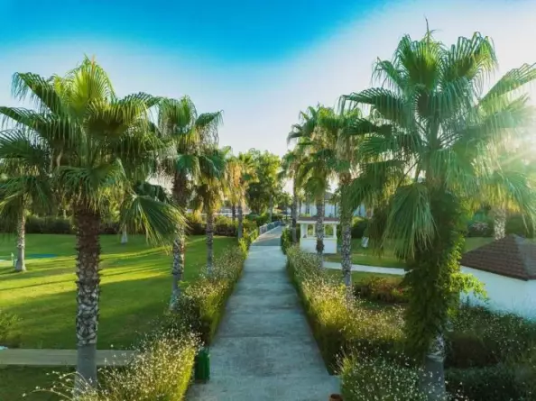 Asteria Family Resort Side Side