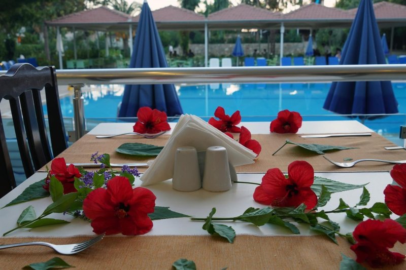 Alanya utazás Blue Fish Hotel