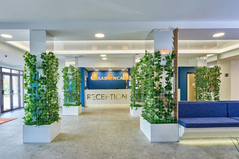 Napospart utazás Casablanca