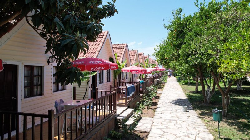 Side utazás Clover Magic Nova Beach Hotel