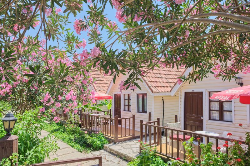 Side utazás Clover Magic Nova Beach Hotel