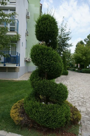 Napospart utazás Elite 1 Apartments