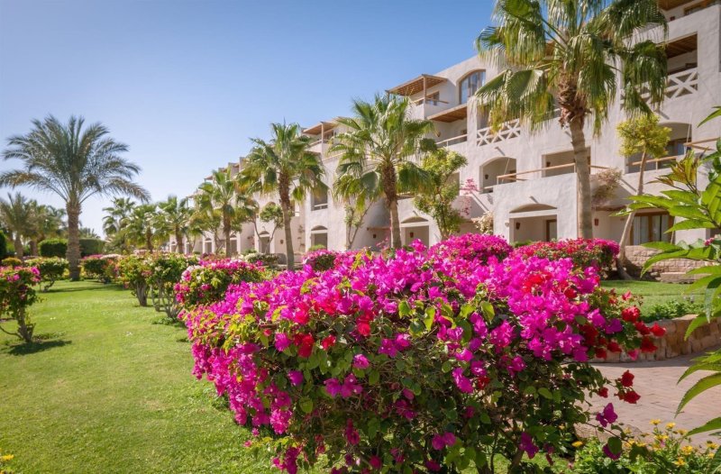 Hurghada utazás Fort Arabesque Resort Spa & Villas