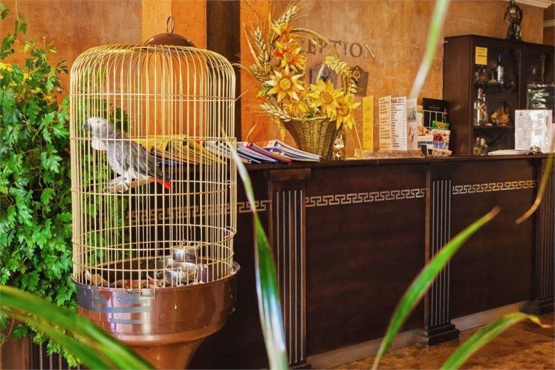 Napospart utazás Forum