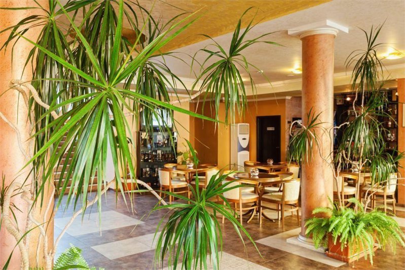 Napospart utazás Forum