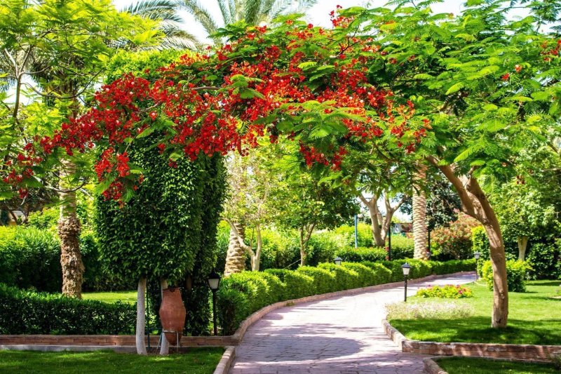 Hurghada utazás Golden Beach Resort