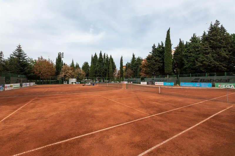 Napospart utazás Hrizantema