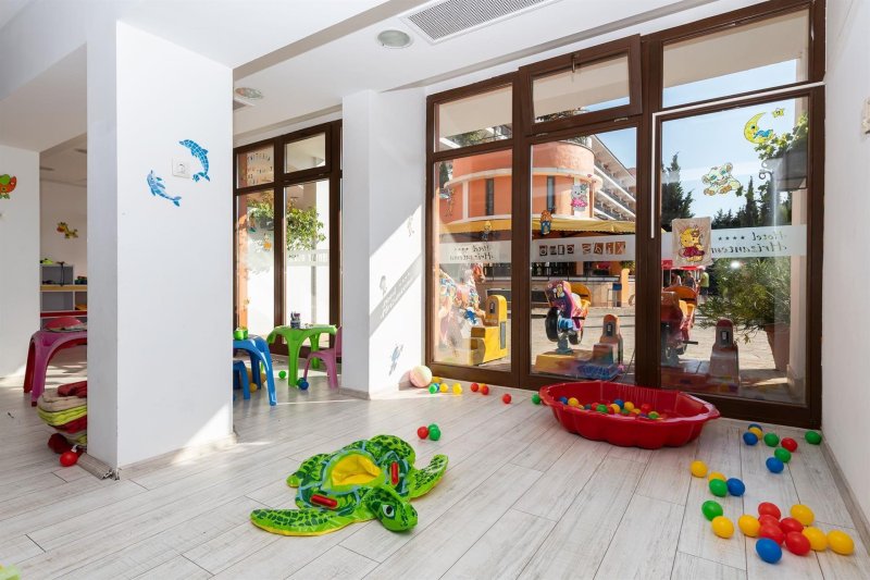 Napospart utazás Hrizantema