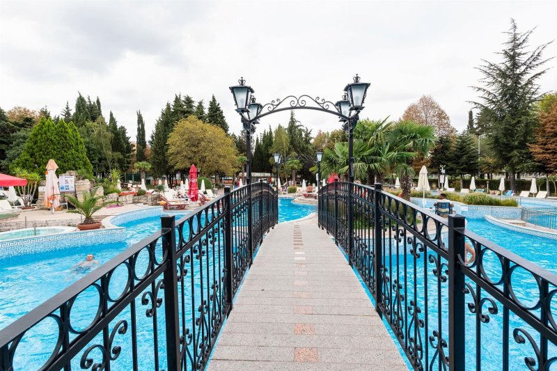 Napospart utazás Hrizantema