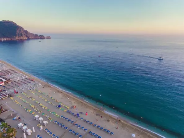 Lonicera City Kleopatra Alanya