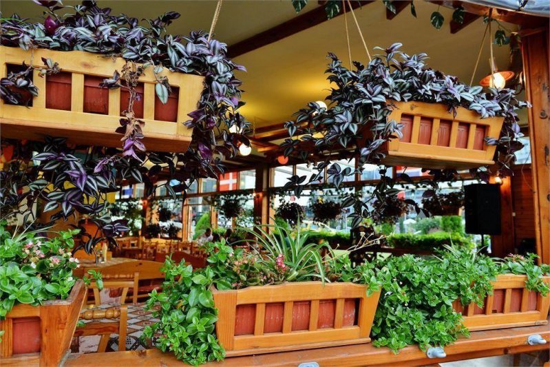 Napospart utazás Marvel