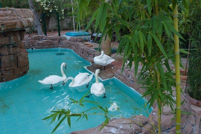 Kemer utazás Mg Club Akman Beach