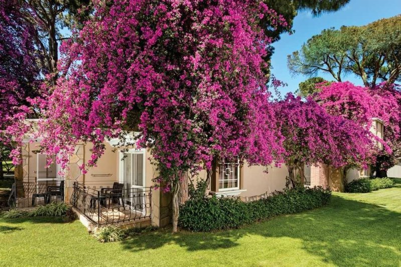 Belek utazás Pine Beach Belek