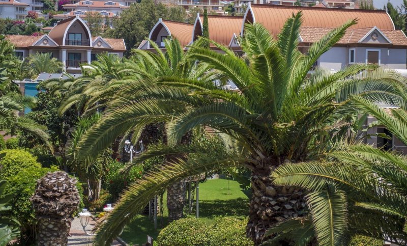 Alanya utazás Quattro Family Club Dem Hotel Alanya