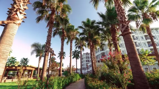 Royal Atlantis Beach Side
