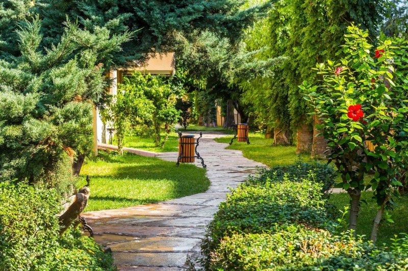 Alanya utazás Saritas Hotel