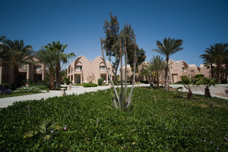 Marsa Alam utazás Shams Alam Beach Resort