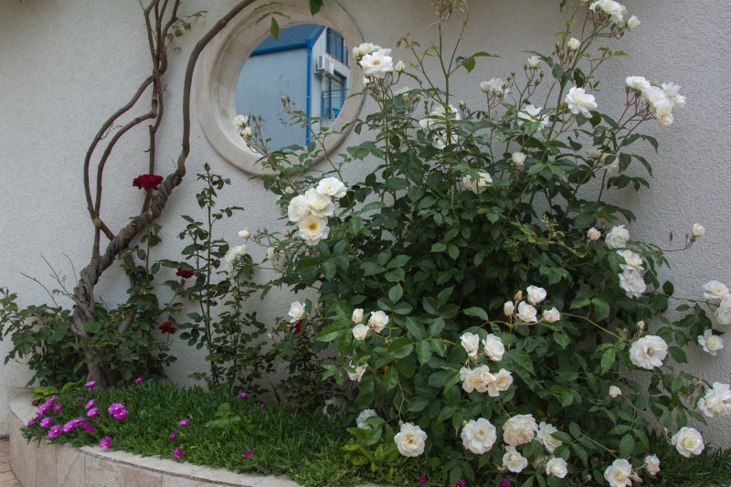 Napospart utazás Sunny Residence Apart