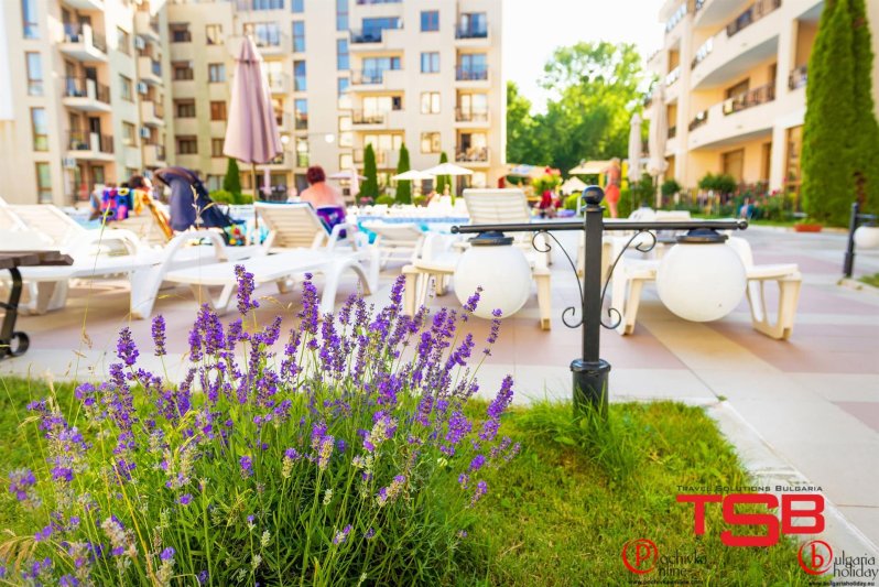 Napospart utazás Sunny Victory Apart