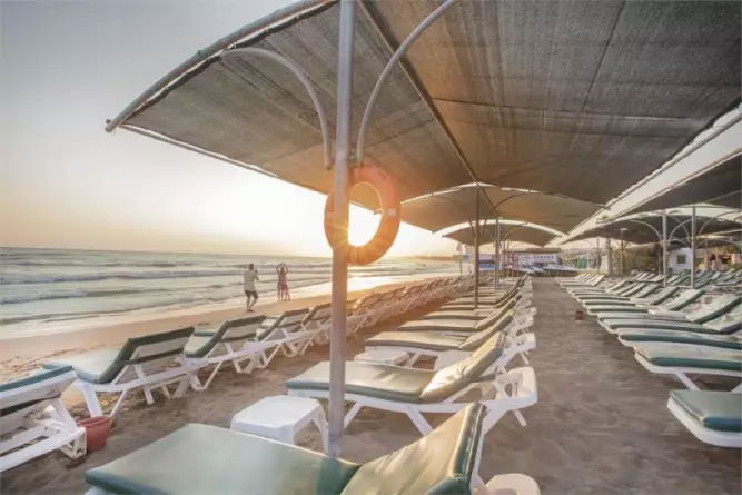 Trendy Palm Beach Side
