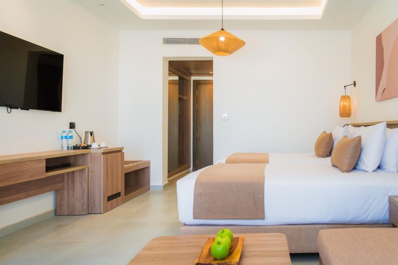 Comfort Garden View Room