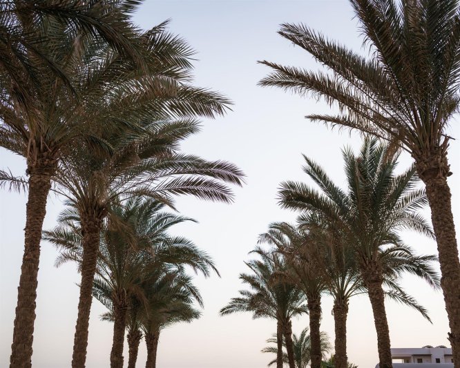 Acel Beach Resort Marsa Alam