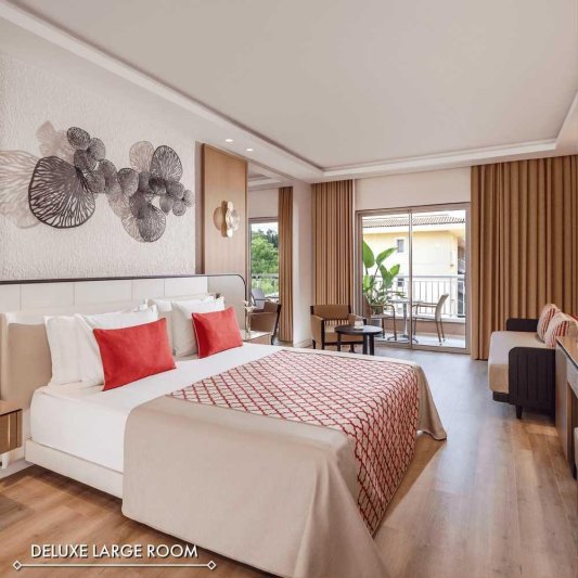 Deluxe Large Room