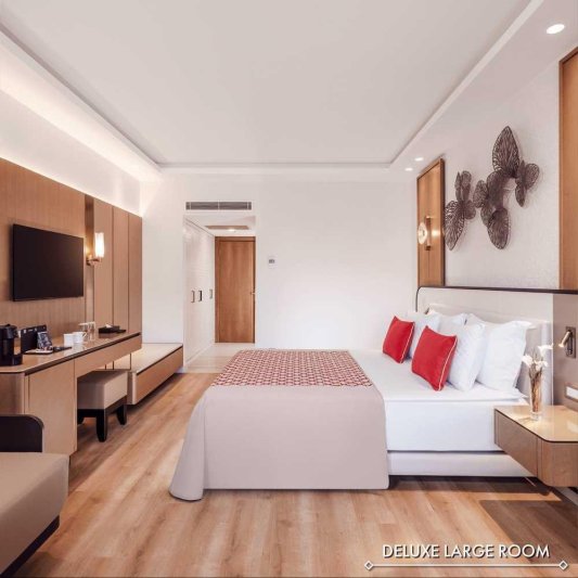 Deluxe Large Room