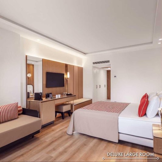 Deluxe Large Room