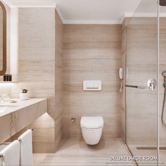 Deluxe Large Room