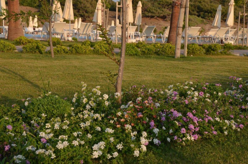 Kemer utazás Andriake Beach Club Hotel