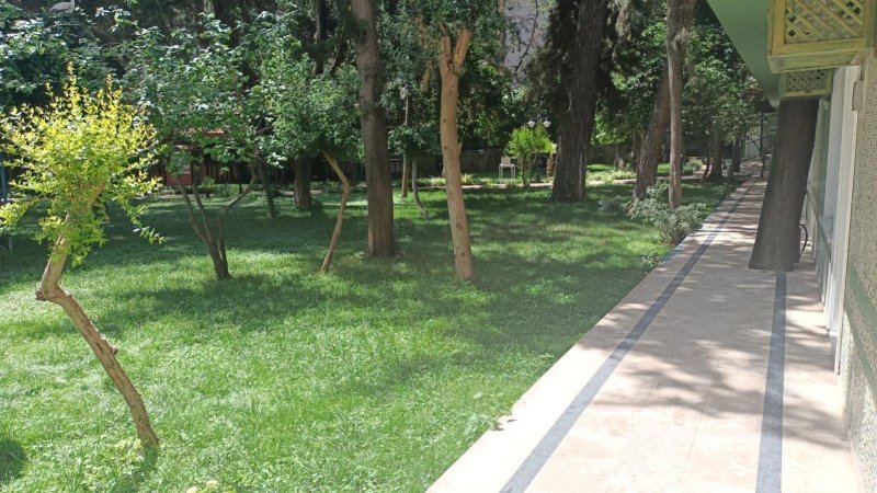 Garden Room & Without Balcony