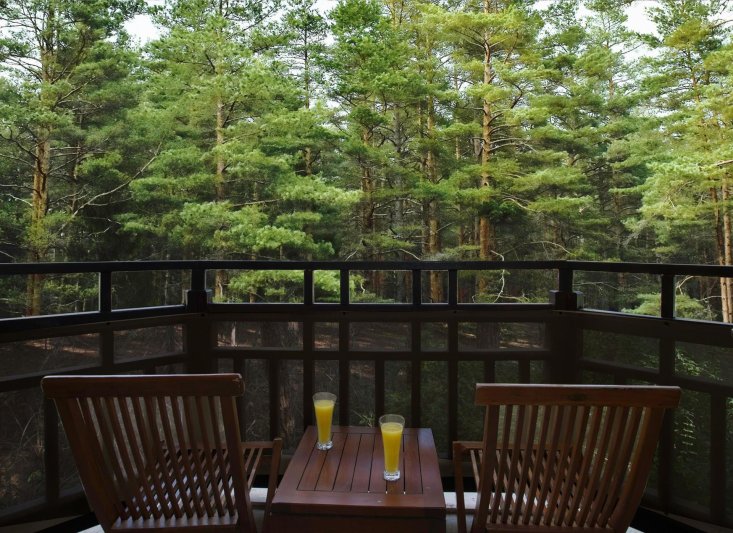 Nature Superior Family Room