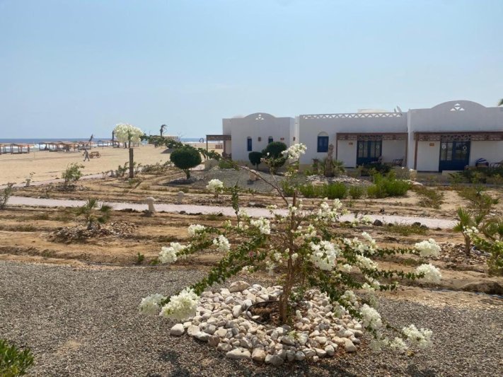 Marsa Alam utazás Beach Safari Nubian Resort