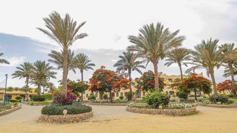 Marsa Alam utazás Blend Elphistone Resort