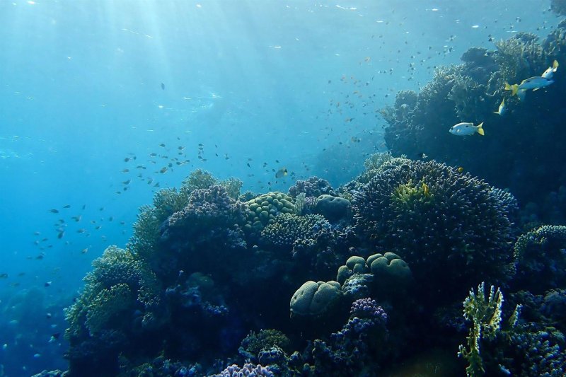 Marsa Alam utazás Brayka Bay Resort Marsa Alam