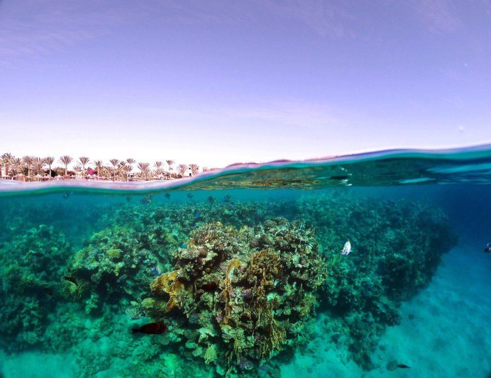 Brayka Bay Resort Marsa Alam Marsa Alam